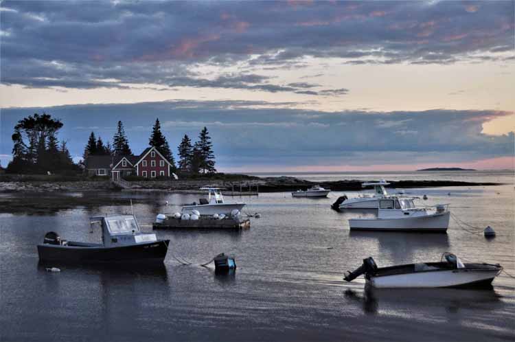 cove with boats